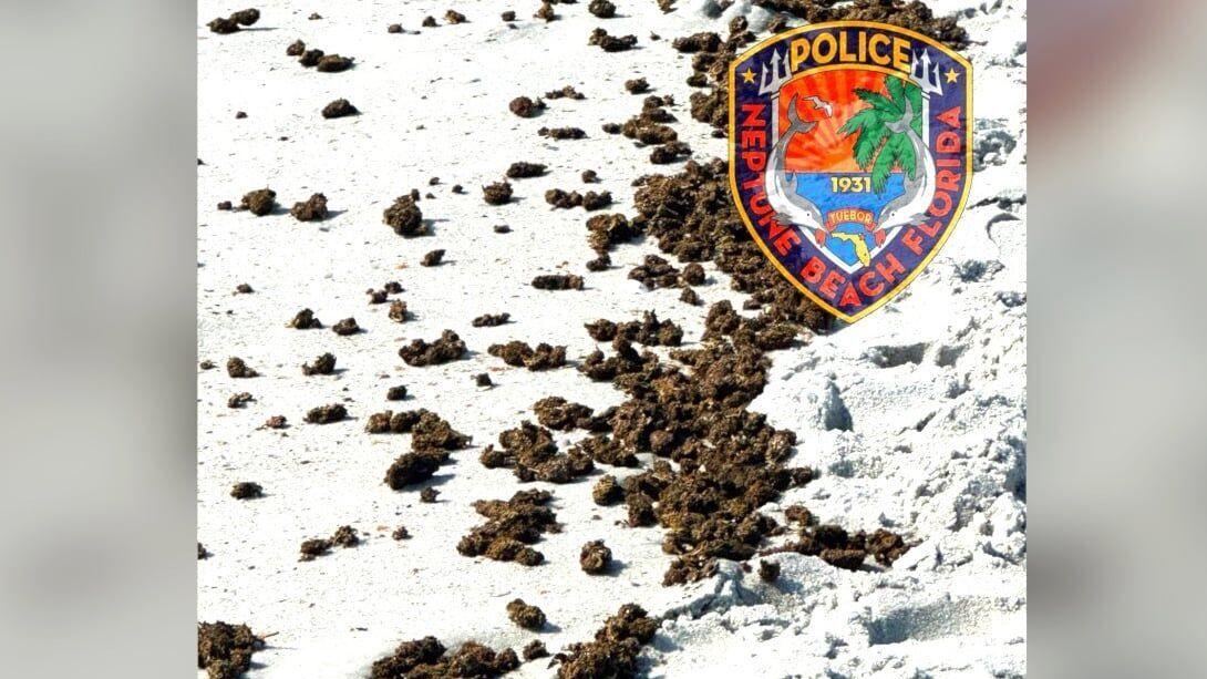 Large Amount of Marijuana Washes Up Loose on Florida Beach